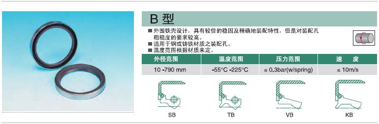 NAK旋轉(zhuǎn)油封B型.jpg